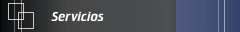 Servicios